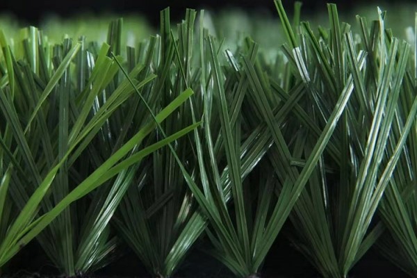 Sport Grass