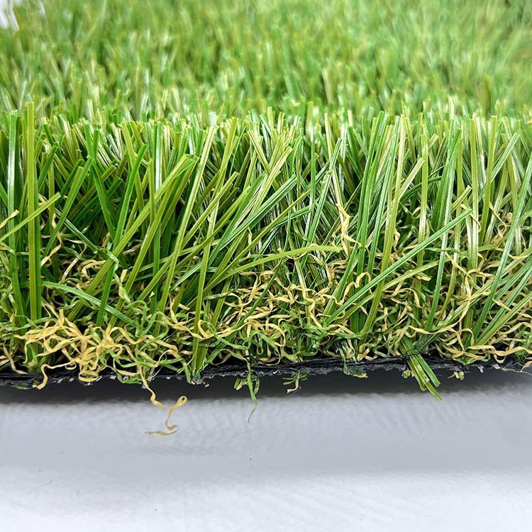 Outdoor Landscape Grass